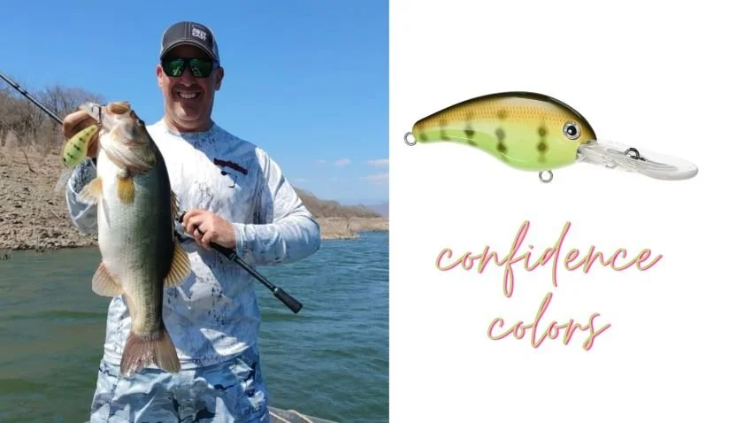 The Best Strike King 10XD Colors for Lake El Salto — Half Past